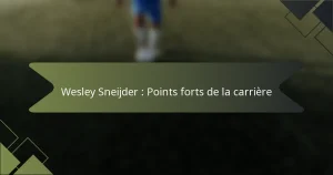 Wesley Sneijder : Points forts de la carrière