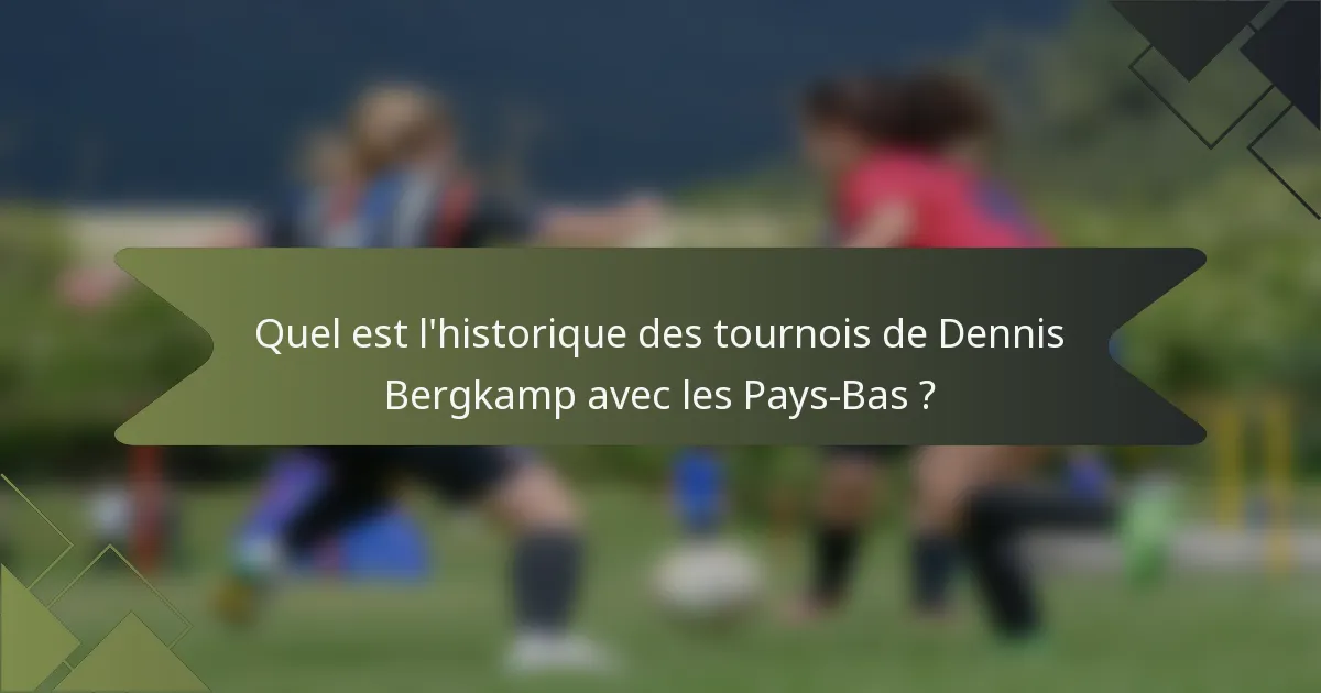 Quel est l'historique des tournois de Dennis Bergkamp avec les Pays-Bas ?