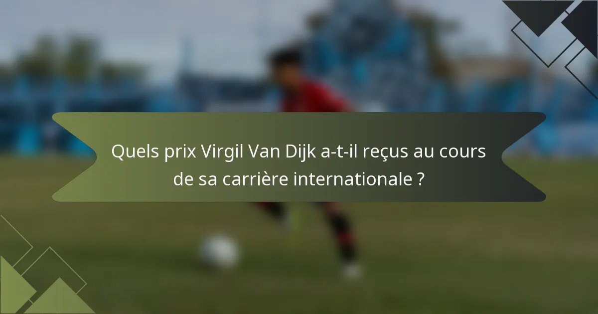 Quels prix Virgil Van Dijk a-t-il reçus au cours de sa carrière internationale ?