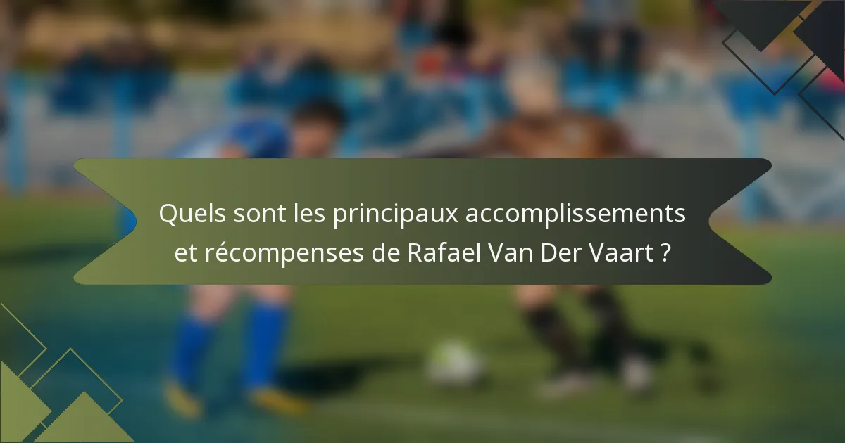 Quels sont les principaux accomplissements et récompenses de Rafael Van Der Vaart ?