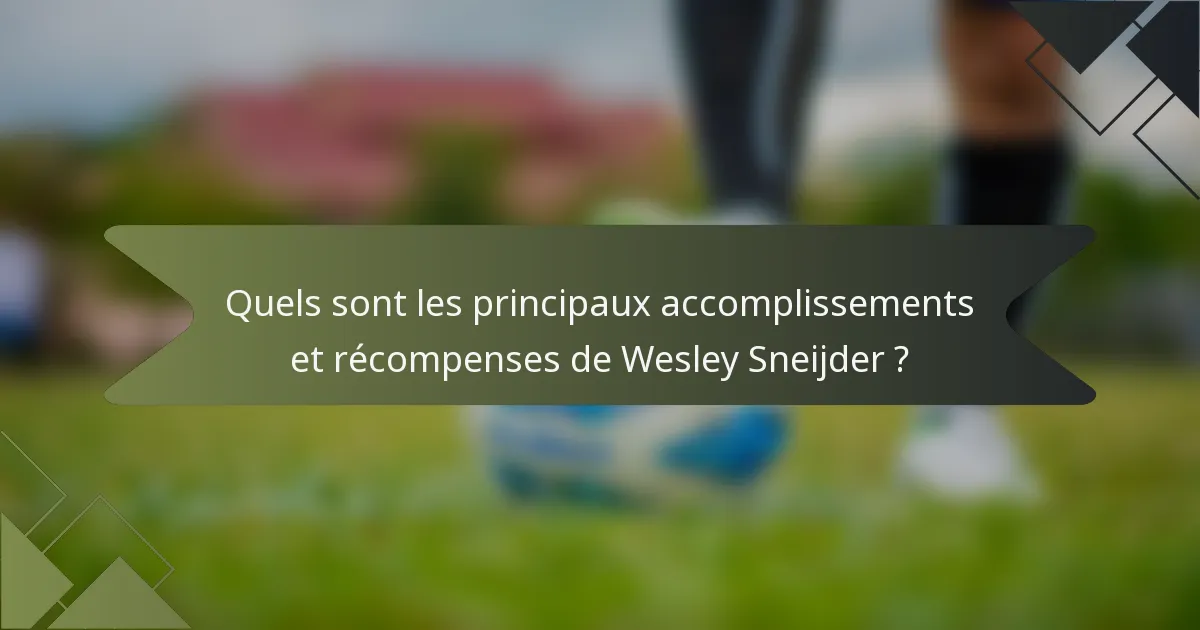Quels sont les principaux accomplissements et récompenses de Wesley Sneijder ?